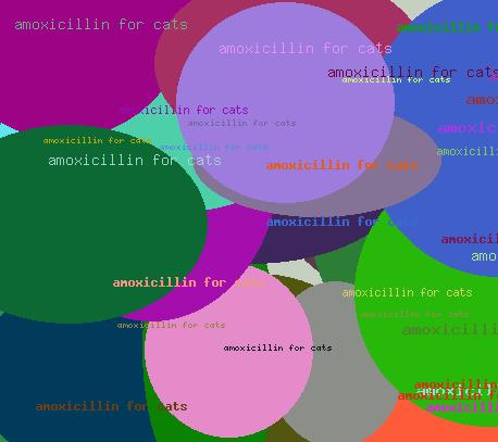 Amoxicillin For Cats